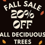 Fall 2023 Tree Sale